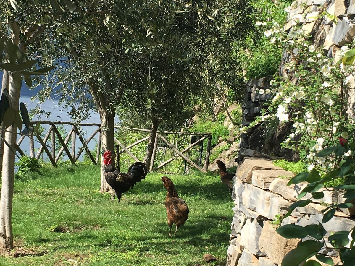 Castagna Holiday Home เนสโซ ภายนอก รูปภาพ